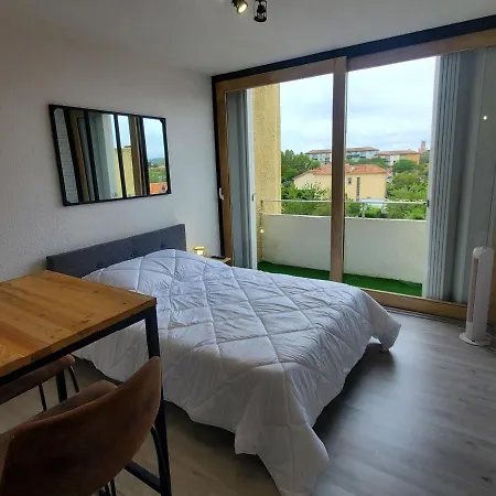 Appartement Avec Balcon, Vue Sur Jardins Et Cathédrale Albi