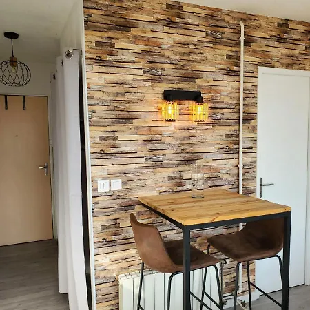 Avec Balcon, Vue Sur Jardins Et Cathedrale 阿尔比