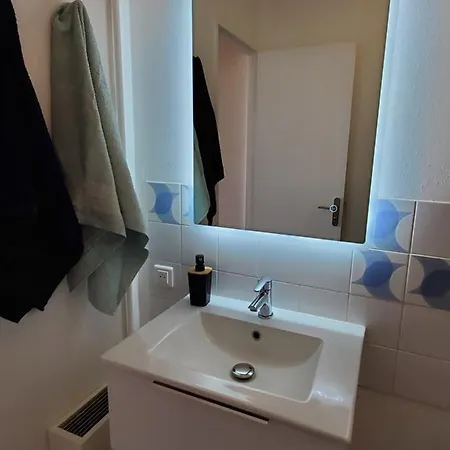 Avec Balcon, Vue Sur Jardins Et Cathedrale 阿尔比